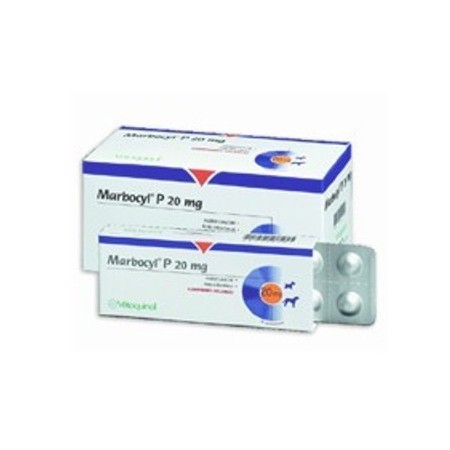 MARBOCYL P 20MG 10COMP. - Equinvest