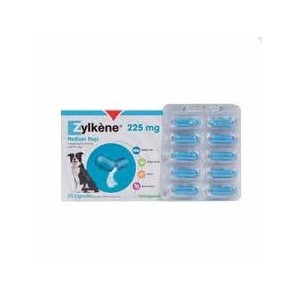 ZYLKENE 225MG 30 CAPSULAS - Equinvest