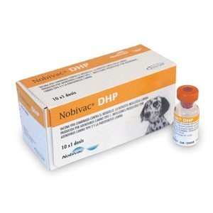 NOBIVAC DHP+DIL X 1D (TRIVALENTE) * - Equinvest