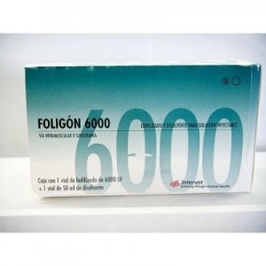 FOLIGON 6000 UI X 1 + DILUYENTE 50ML* - Equinvest