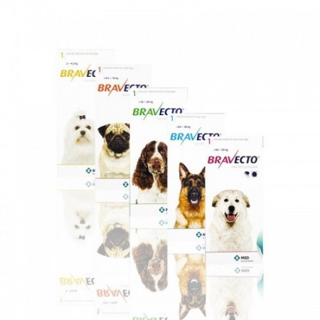 BRAVECTO 500MG (10-20KG) COMP. MASTICABLE - Equinvest