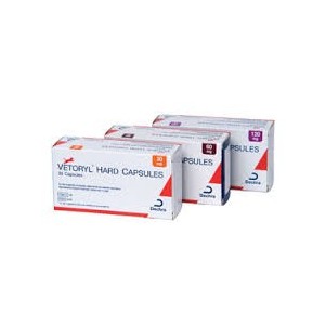 VETORYL 60MG 30 CAP - Equinvest