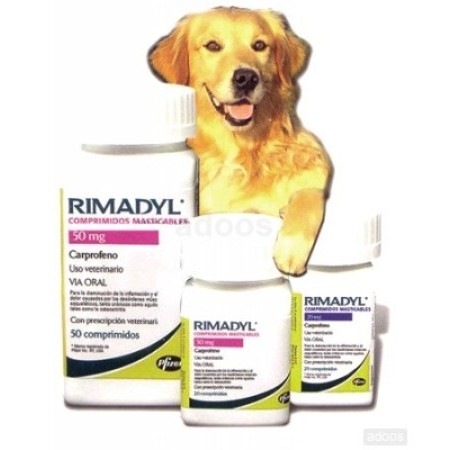 RIMADYL PAL 100MG.20COMP. (MASTICABLE) - Equinvest
