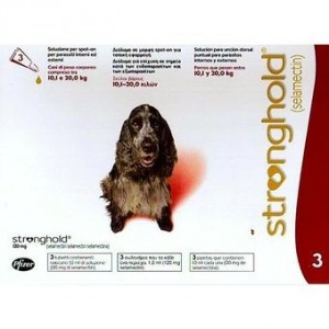 STRONGHOLD PERRO 120MG.3 PIPETAS10-20K - Equinvest