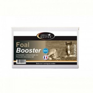 FOAL BOOSTER SERINGA 15ML - Equinvest