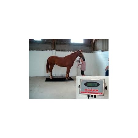 BASCULA EQUINA 1000 EQUIVET GIRATORIO - Equinvest