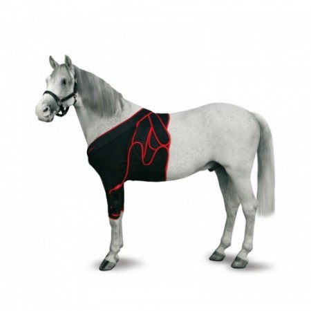 FAJA FRONTAL CABALLO T-S - Equinvest
