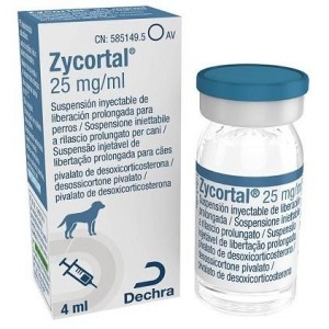 ZYCORTAL 25MG. 4ML. - Equinvest