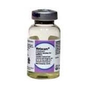 METACAM 20MG/ML 50 ML INY. EQUINOS - Equinvest
