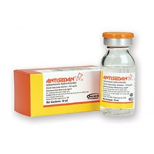 ANTISEDAN 10ML INY - Equinvest