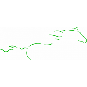 PANTALLA TIERRAS RARAS 24X30CM. - Equinvest