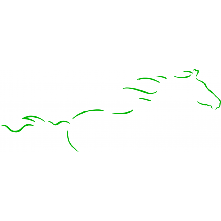 ADAPTADOR PARA BOTELLA VAGINA ARTIFICIAL MISSOURI PREMIUM