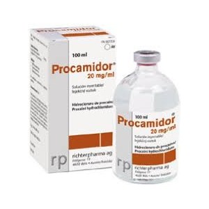 PROCAMIDOR 20MG/ML 100ML INY. - Equinvest
