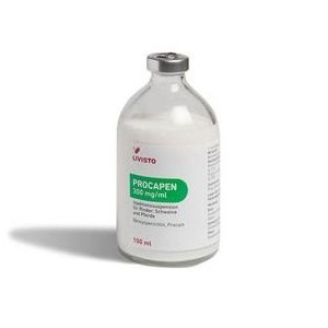 PROCAPEN 300MG/ML 100ML INJ.* - Equinvest