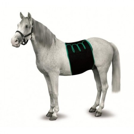 FAJA RECUPERACION EQUINO T-L - Equinvest