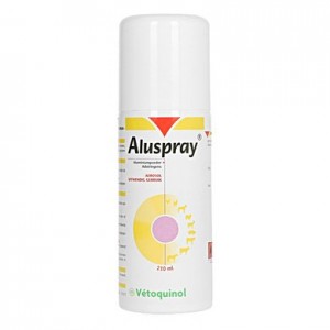 ALUSPRAY 210ML. SPRAY. - Equinvest