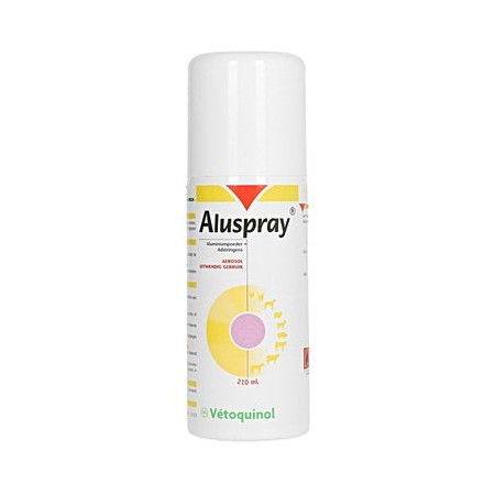 ALUSPRAY 210ML. SPRAY. - Equinvest