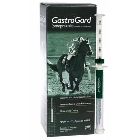 GASTROGARD SERINGA FRM 1UD - Equinvest