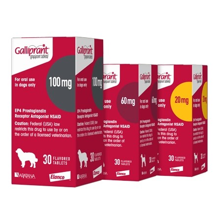 GALLIPRANT 100MG. 30COMP. - Equinvest