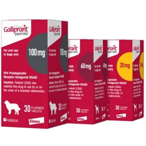 GALLIPRANT 20MG. 30COMP. - Equinvest