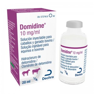 DOMIDINE 20ML - Equinvest