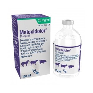 MELOXIDOLOR 20MG/ML 100ML