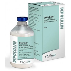 DEPOCILLIN 100 ML *