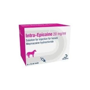 INTRA EPICAINE 20G/ML 6X10ML