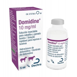DOMIDINE 5ML