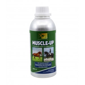 MUSCLE UP 450ML
